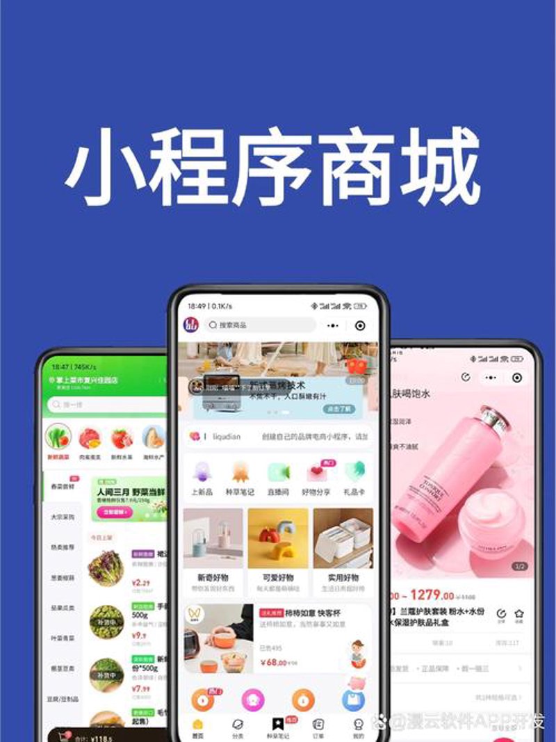 软件定制开发——企业信息化的点金术